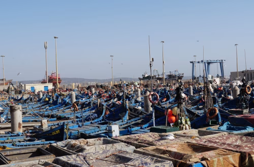 La ONU advierte de escasez alimentaria en Gaza y pide abrir más pasos fronterizos