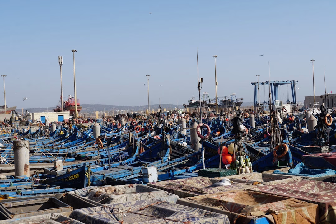 La ONU advierte de escasez alimentaria en Gaza y pide abrir más pasos fronterizos