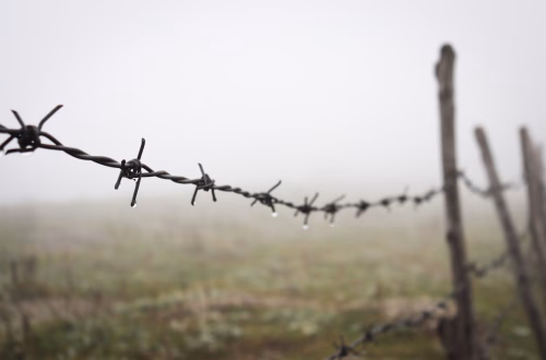 Zelenskyy acepta congelar la guerra en Ucrania