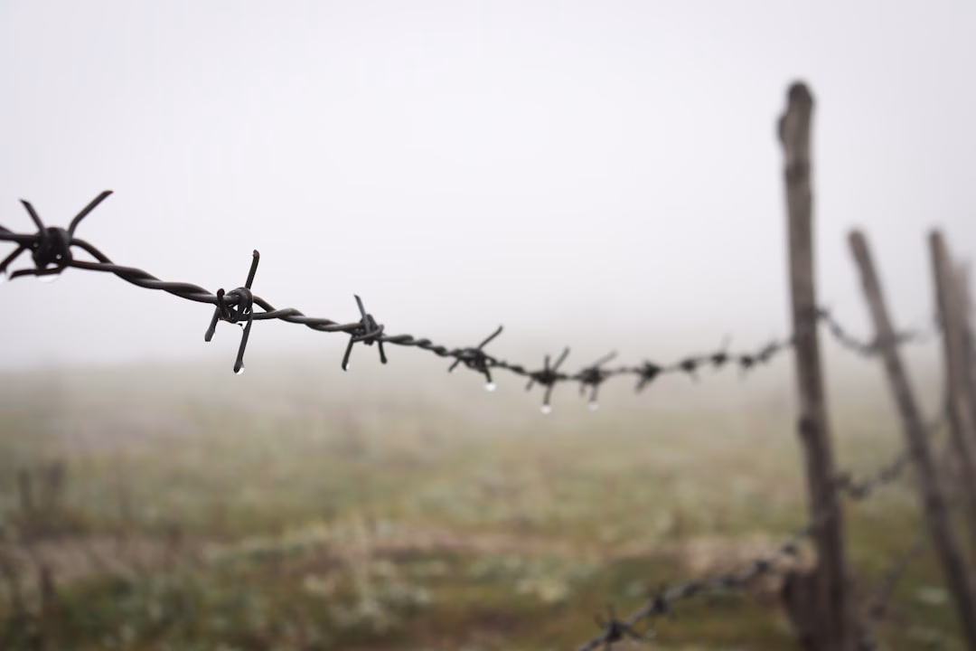 Zelenskyy acepta congelar la guerra en Ucrania