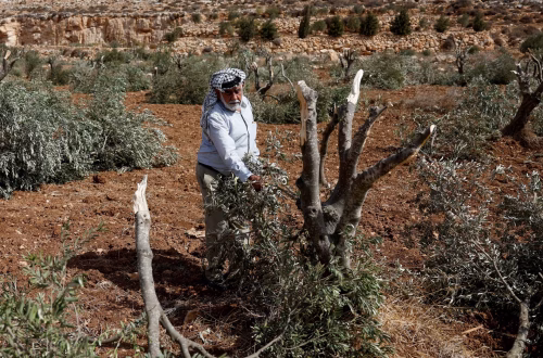 Guerra en la Cisjordania ocupada