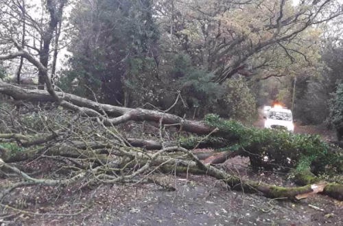 Temperatures, Storm y Retreat