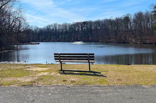 Mujer busca a enfermera que le salvó la vida