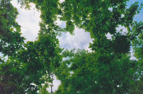 Guerra Ucrania-Rusia: Elecciones Pendientes y la Inflación como Telón de Fondo