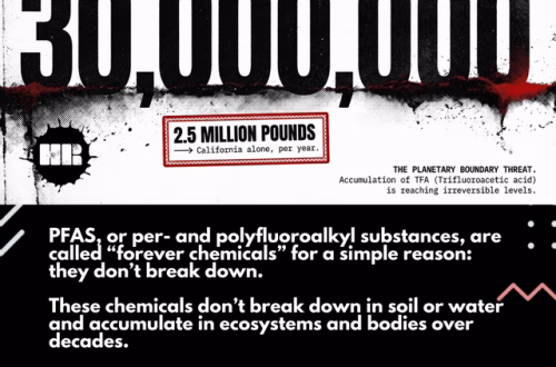 Carrera para encontrar la fuente de Pfas cancerígenos en aguas de Cumbria y Lancashire